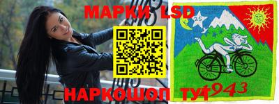 МДПВ Донецк